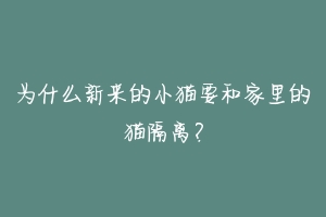 为什么新来的小猫要和家里的猫隔离?-动物百科