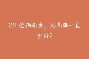 20 给猫洗澡,洗完猫一直发抖?-动物百科