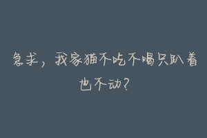 急求,我家猫不吃不喝只趴着也不动?-动物百科