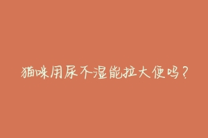 猫咪用尿不湿能拉大便吗?-动物百科