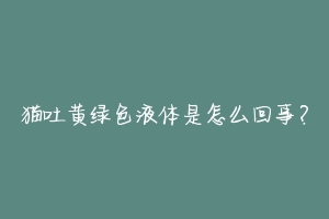 猫吐黄绿色液体是怎么回事?-动物百科