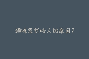 猫咪忽然咬人的原因?-动物百科
