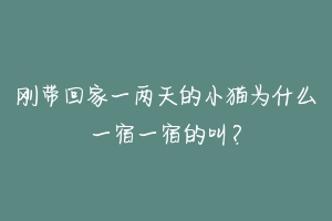 刚带回家一两天的小猫为什么一宿一宿的叫?-动物百科