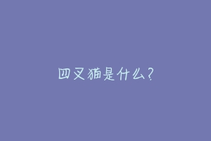四叉猫是什么?-动物百科