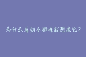 为什么看到小猫咪就想揉它?-动物百科