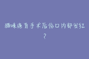 猫咪绝育手术后伤口内部发红?-动物百科