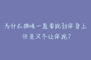 为什么猫咪一直要跑到你身上 但是又不让你抱?-动物百科