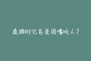 摸猫时它总是用嘴咬人?-动物百科