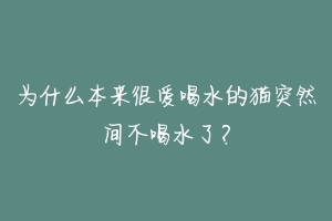 为什么本来很爱喝水的猫突然间不喝水了?-动物百科