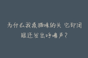 为什么我摸猫咪的头 它却闭眼还发出呼噜声?-动物百科