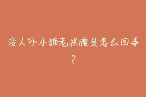 没人吓小猫老拱腰是怎么回事?-动物百科