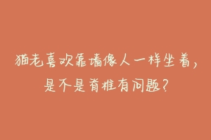 猫老喜欢靠墙像人一样坐着,是不是脊椎有问题?-动物百科