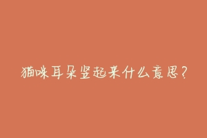 猫咪耳朵竖起来什么意思？-动物百科