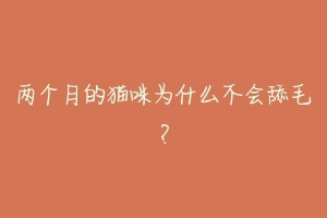 两个月的猫咪为什么不会舔毛？-动物百科