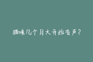 猫咪几个月大开始变声？-动物百科