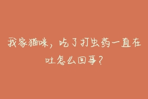 我家猫咪，吃了打虫药一直在吐怎么回事？-动物百科