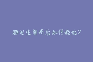 猫发生骨折后如何救治?-动物百科