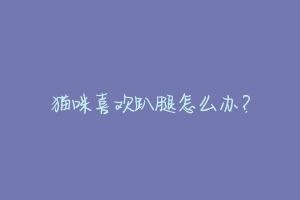 猫咪喜欢趴腿怎么办?-动物百科