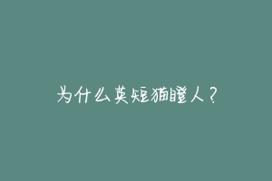 为什么英短猫瞪人？-动物百科