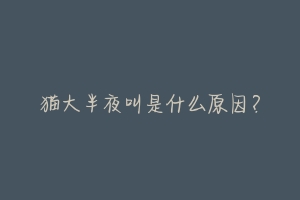 猫大半夜叫是什么原因？-动物百科