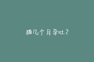 猫几个月孕吐?-动物百科