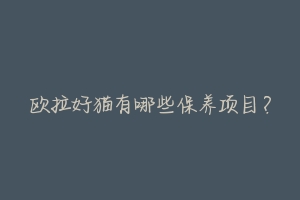 欧拉好猫有哪些保养项目?-动物百科