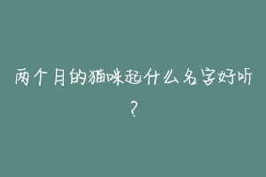 两个月的猫咪起什么名字好听？-动物百科