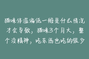 猫咪体温偏低一般是什么情况才会导致，猫咪3个月大，整个没精神，吃东西也吃的很少？-动物百科