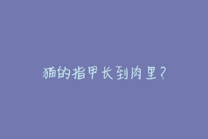 猫的指甲长到肉里？-动物百科
