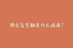 猫会后空翻是什么暗语？-动物百科