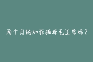 两个月的加菲猫掉毛正常吗？-动物百科