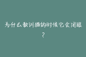 为什么教训猫的时候它会闭眼？-动物百科