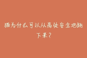 猫为什么可以从高处安全地跳下来?-动物百科