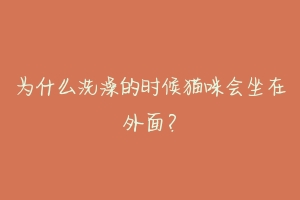 为什么洗澡的时候猫咪会坐在外面?-动物百科