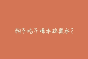 狗不吃不喝水拉黑水?-动物百科