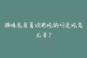 猫咪老是喜欢把吃的叼走吃怎么弄?-动物百科