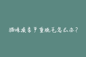 猫咪换季严重脱毛怎么办?-动物百科