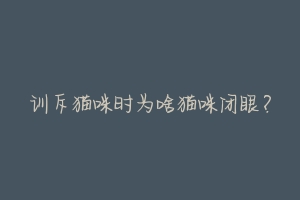 训斥猫咪时为啥猫咪闭眼?-动物百科