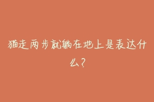 猫走两步就躺在地上是表达什么?-动物百科