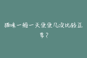 猫咪一般一天便便几次比较正常?-动物百科