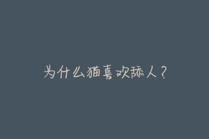 为什么猫喜欢舔人?-动物百科