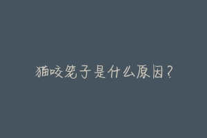 猫咬笼子是什么原因?-动物百科