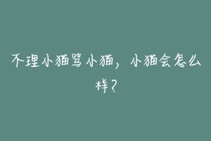 不理小猫骂小猫,小猫会怎么样?-动物百科