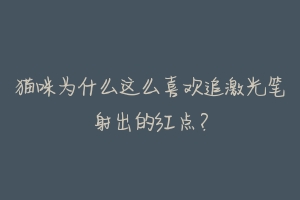 猫咪为什么这么喜欢追激光笔射出的红点?-动物百科