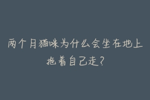 两个月猫咪为什么会坐在地上拖着自己走?-动物百科