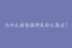 为什么我家银渐层那么高冷?-动物百科