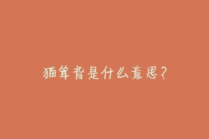 猫耸背是什么意思?-动物百科
