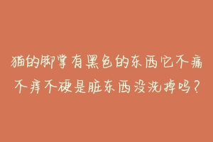 猫的脚掌有黑色的东西它不痛不痒不硬是脏东西没洗掉吗?-动物百科