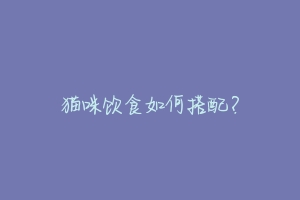 猫咪饮食如何搭配?-动物百科