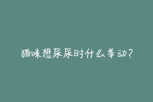 猫咪想尿尿时什么举动?-动物百科